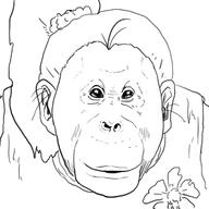 artist_request character:luan_loud monkey solo // 300x300 // 49KB